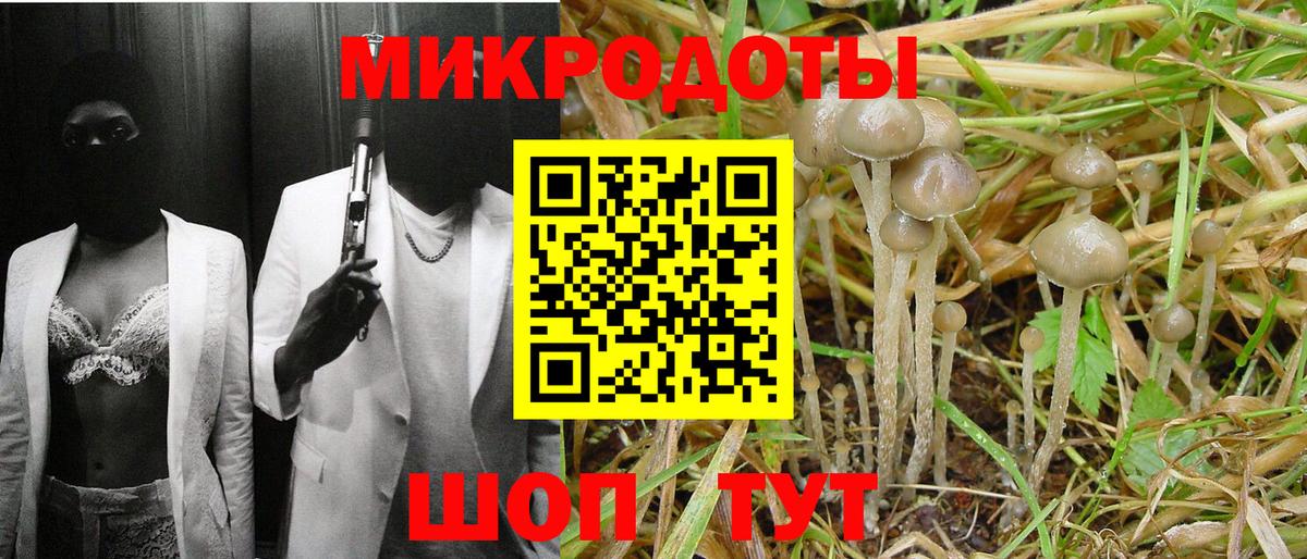 Галлюциногенные грибы GOLDEN TEACHER Оренбург