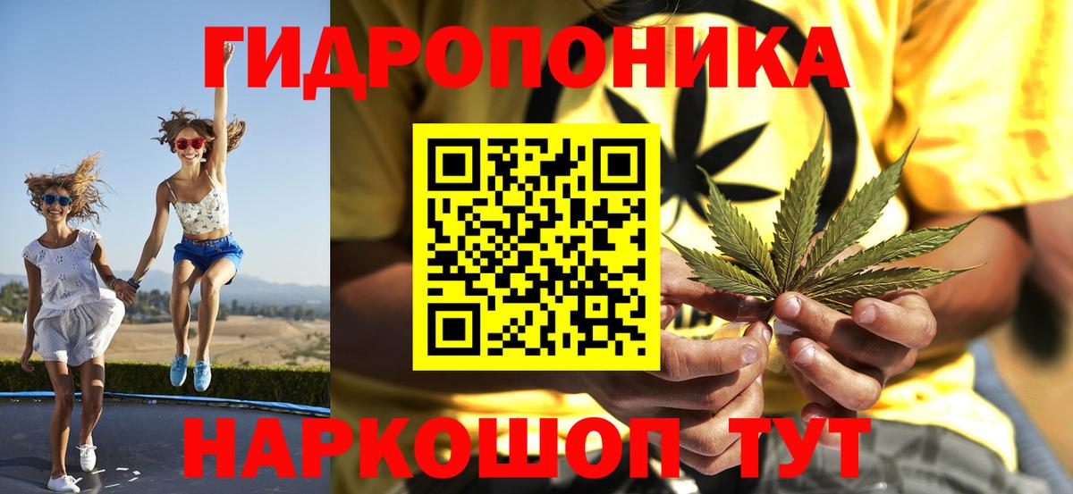 Конопля сатива  Шишки марихуана план  Каннабис гибрид  Оренбург  Вход с VPN 